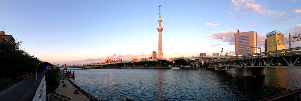 pinkskytree